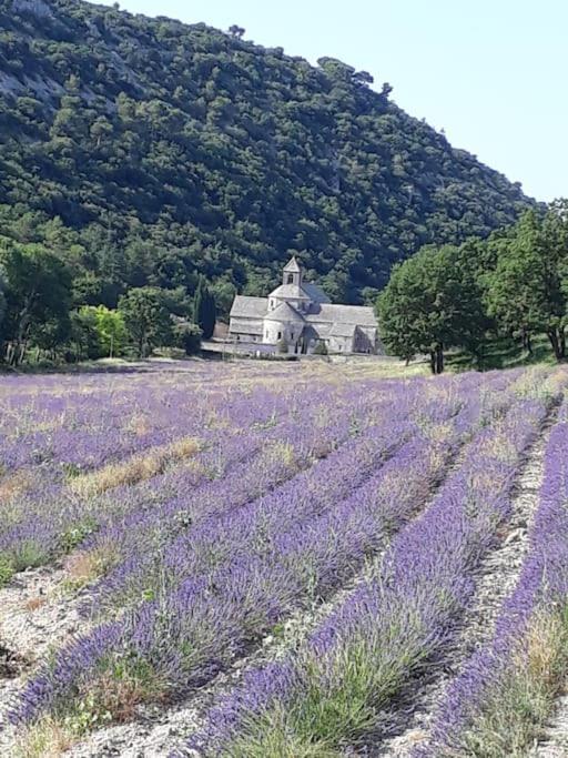 Bastidon Plein Sud Villa Gordes Bagian luar foto